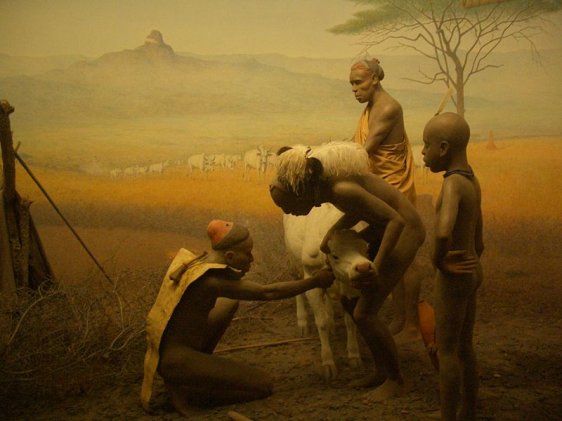 Hall of African Peoples diorama, American Museum of Natural History