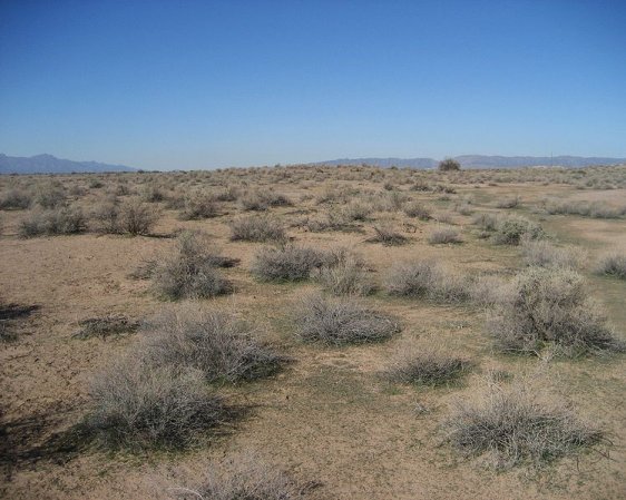 Terrain of the Hohokam Pima National Monument