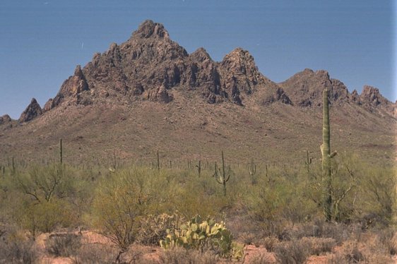 Landscape of Ironwood Forest National Monument, Arizona