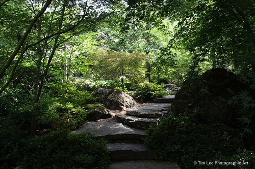 Japanese Garden, Garvan Woodland Gardens, Hot Springs