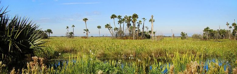 Lake Woodruff National Wildlife Refuge, Florida