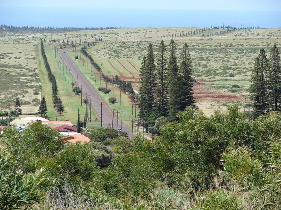 View at Lanai City, Lanai