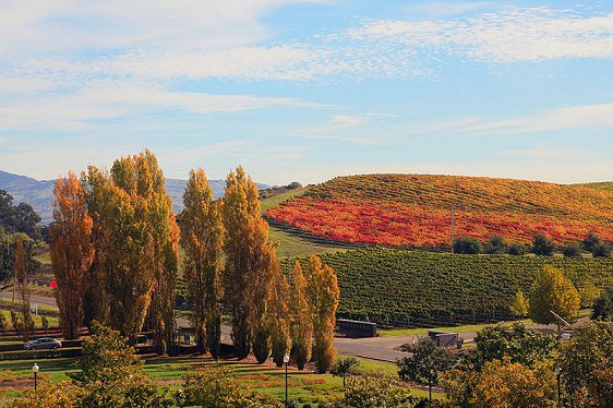 Napa Valley, California