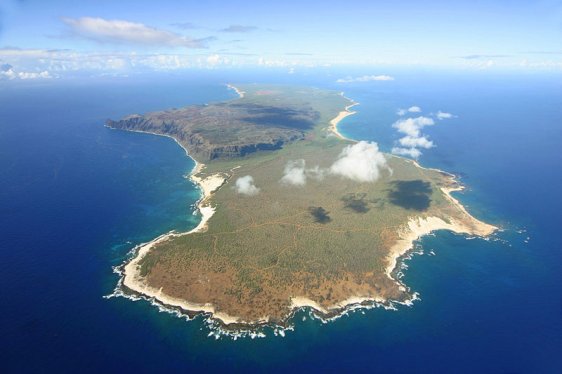 Aerial view of Niigau, Hawaii