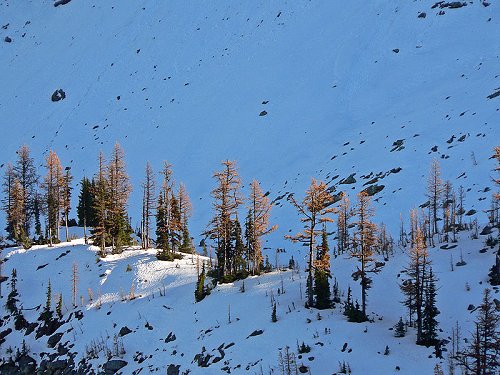 North Cascades National Park, Washington State