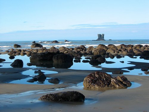 Olympic National Park coastline