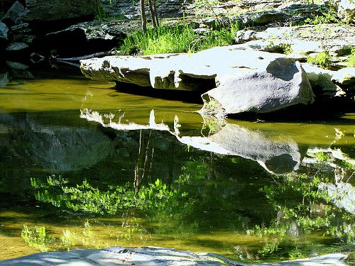 Piney Creek Ravine, Illinois