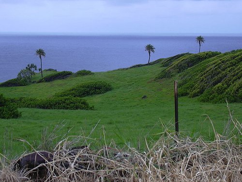 Puhilele Haleakala National Park, Maui