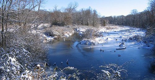 Snowy swamp in Beltsville, Maryland