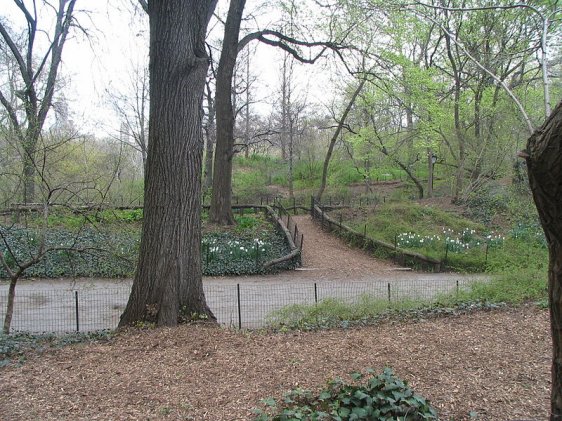 Strawberry Fields, Central Park