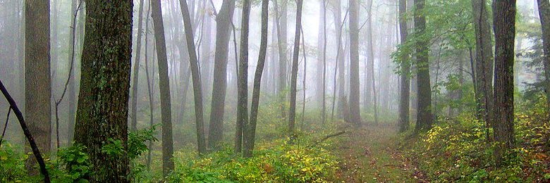 Tennessee, Cove Mountain Trail, Tennessee