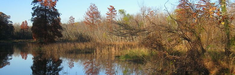 Theodore Roosevelt Island