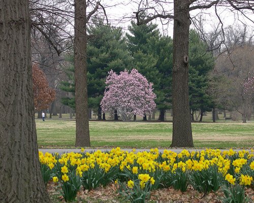 Tower Grove Park, St Louis