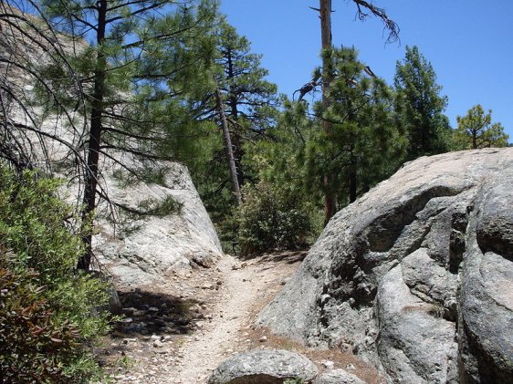 Trail on Mount Lemmon, Arizona