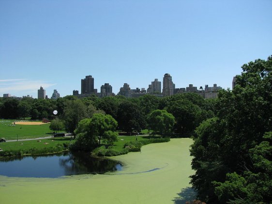 View from Belvedere Castle, Central Park