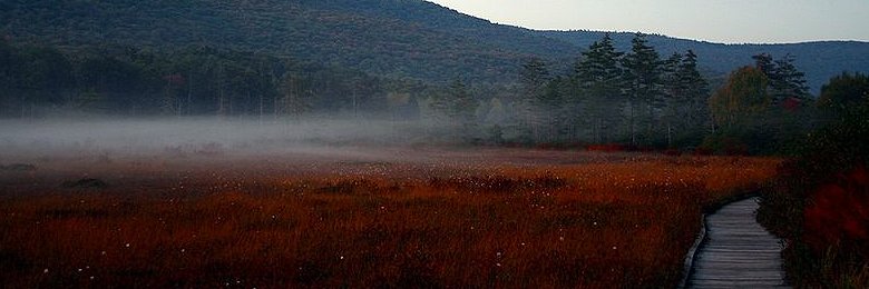 West Virginia, Cranberry Glades Botanical Area, West Virginia