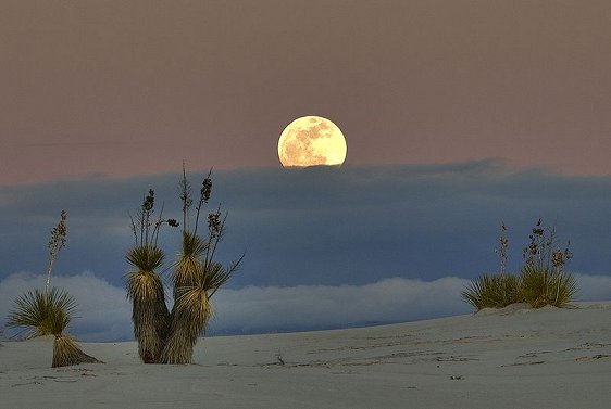 White Sands National Monument, New Mexico