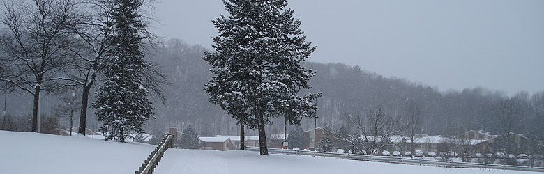 Winter scene at Binghamton University Campus