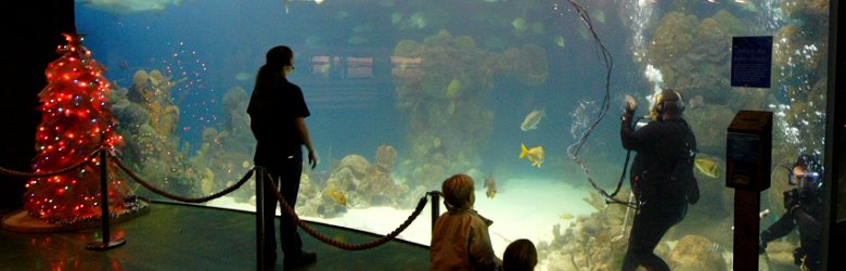Wonders of Wildlife Museum & Aquarium, Springfield, Missouri