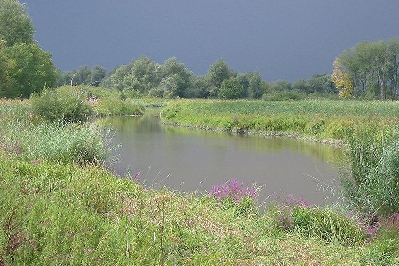 Biesbosch National Park, South Holland