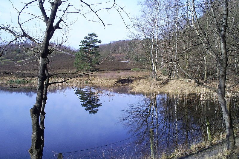 Brunssummerheide in Heerlen, Limburg