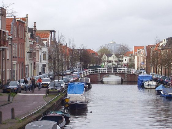 Burgwal, Haarlem