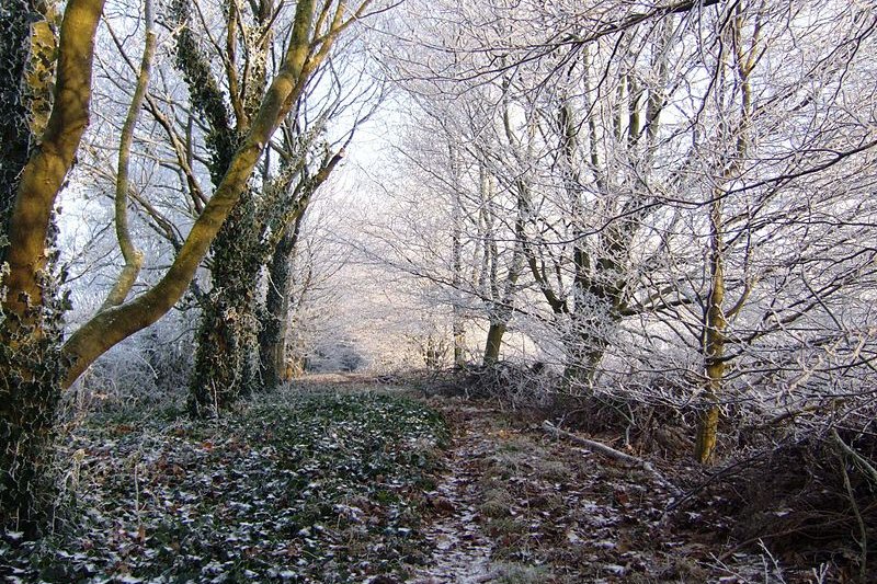 Country lane in Famberhorst, Friesland