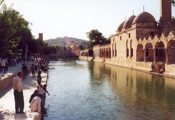 The pool with holy carps in Balıklıgöl, Şanlıurfa