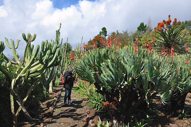 Madeira Botanical Gardens