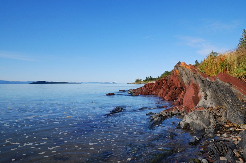 Saint Lawrence River