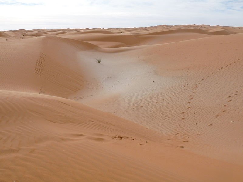 Sand dunes of Adrar, Mauritania