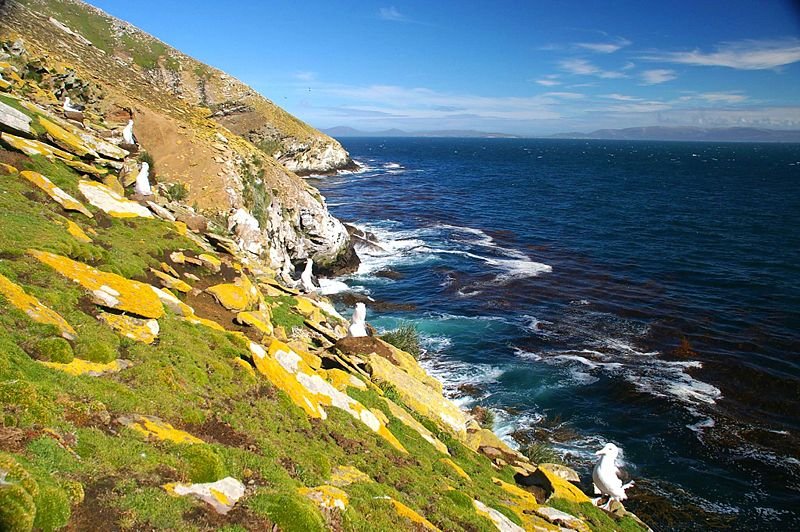 Saunders Island