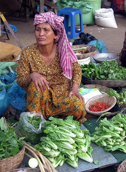 Seller at the market in Kampong Thom, Cambodia