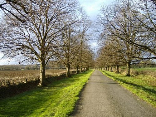 Sheldon Manor entrance drive, Wiltshire