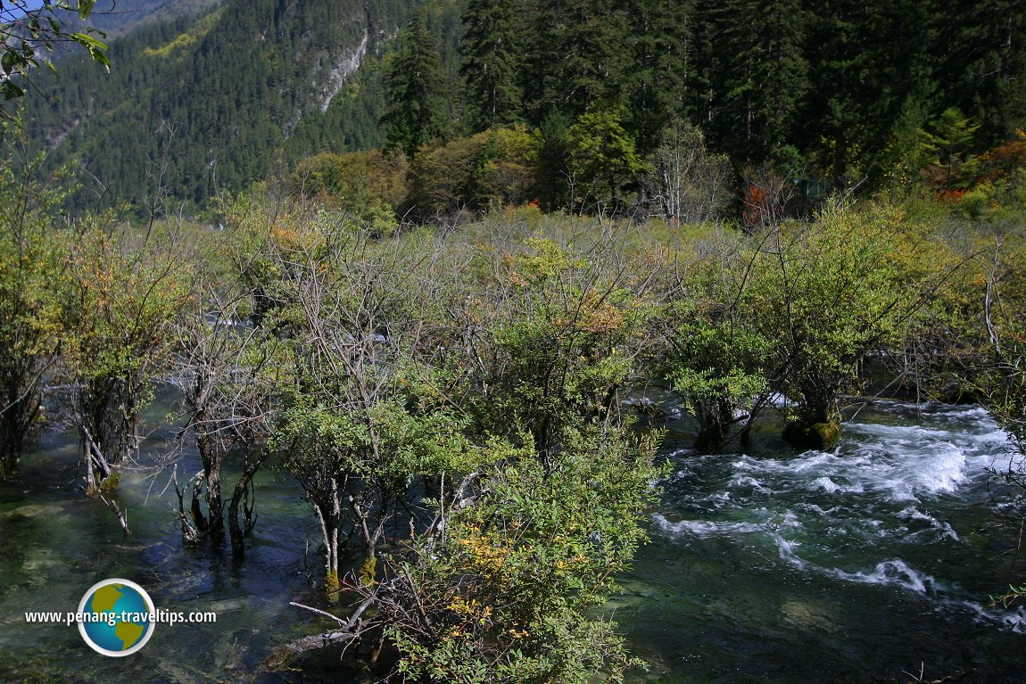 Shuzheng Lakes, Jiuzhaigou