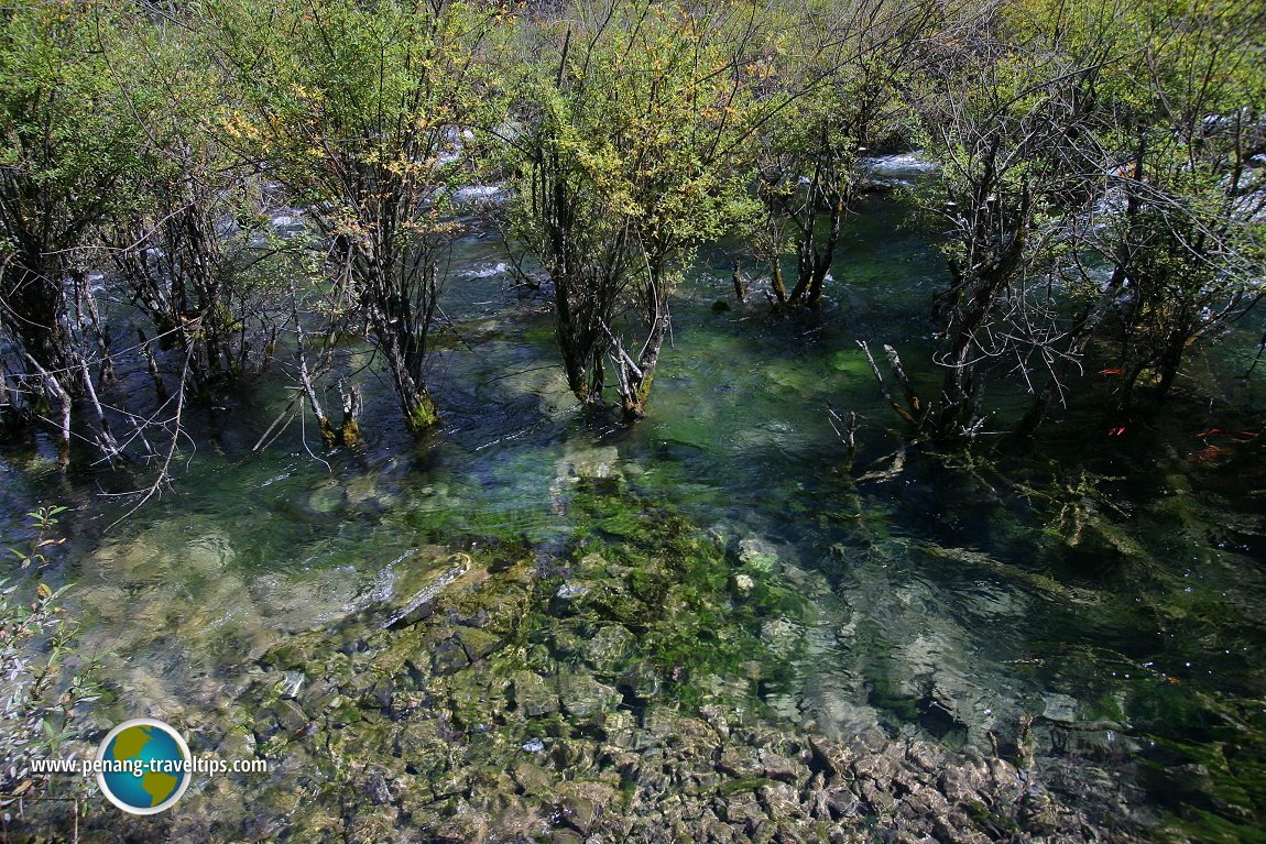 Shuzheng Lakes, Jiuzhaigou