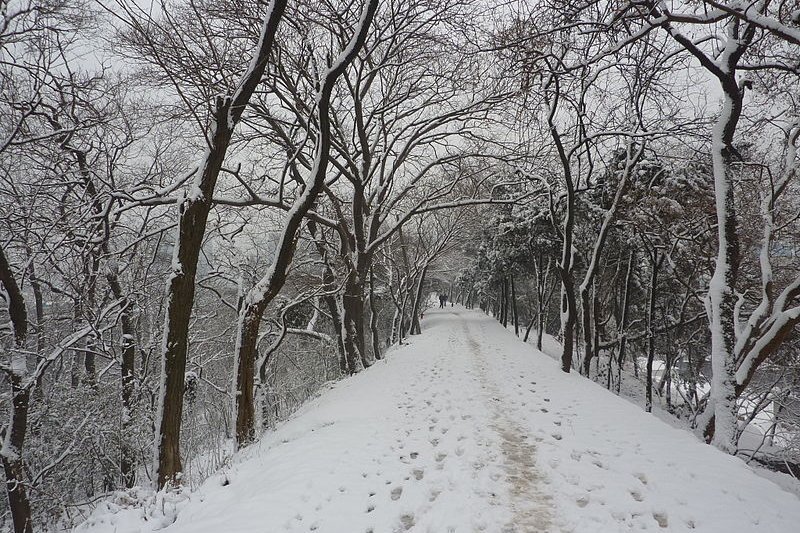 Snake Hill in Wuhan