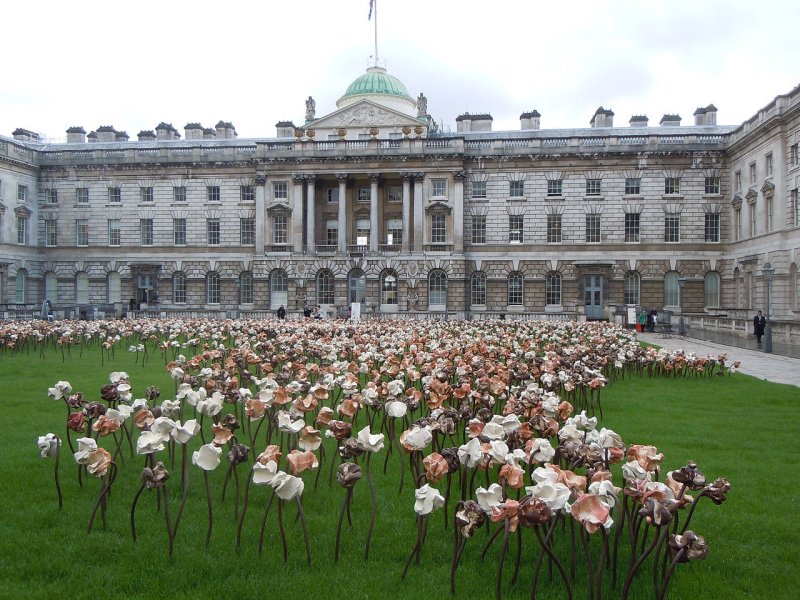 10,000 fleurs d'Argile at Somerset House