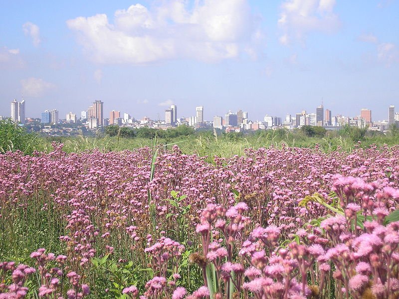 Spring in Asunción, Paraguay