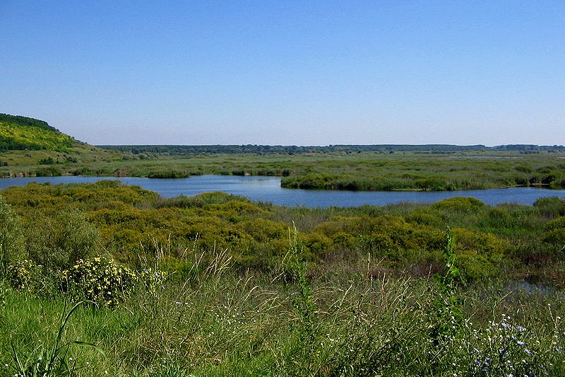 Srebana Nature Reserve, Bulgaria