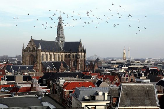 St Bavokerk, Haarlem