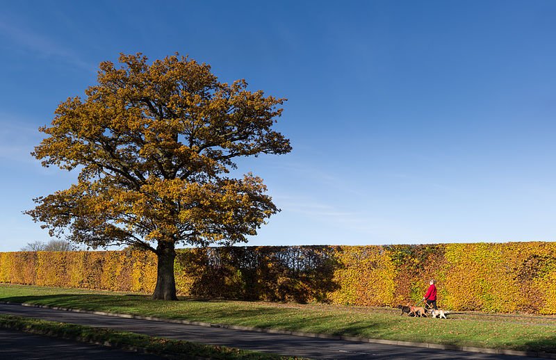 Stevenage, England