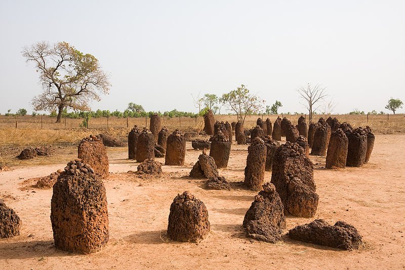 Stone Circles of Senegambia