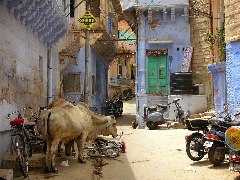 Street in Jodhpur, Rajastan