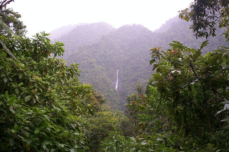 Tapantí National Park, La Amistad Conservation Area, Costa Rica