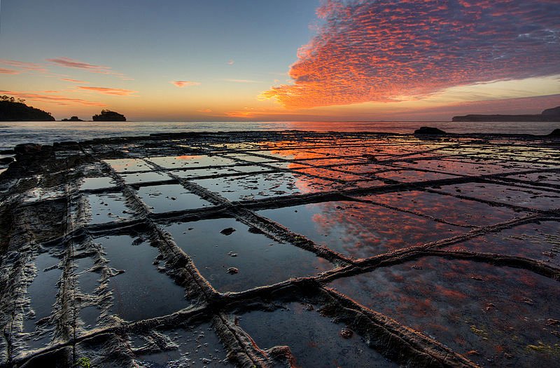 Tessellated Pavement at Eaglehawk Neck