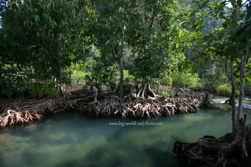 Tha Pom Crystal River, Krabi