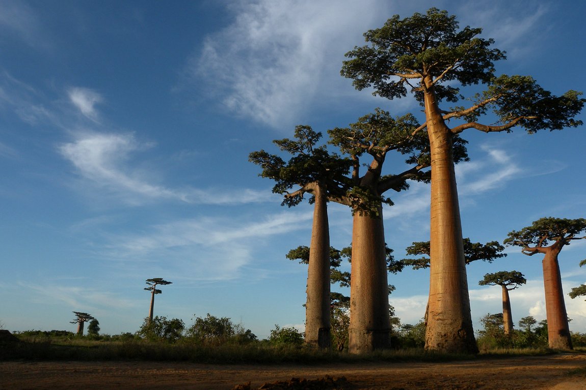 The Three Peaks, Marojejy National Park, Madagascar