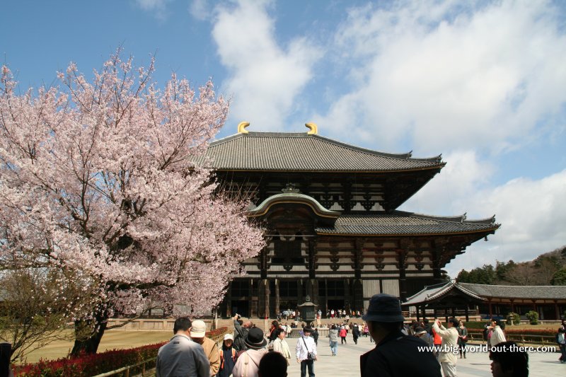 Todaiji Temple, Nara