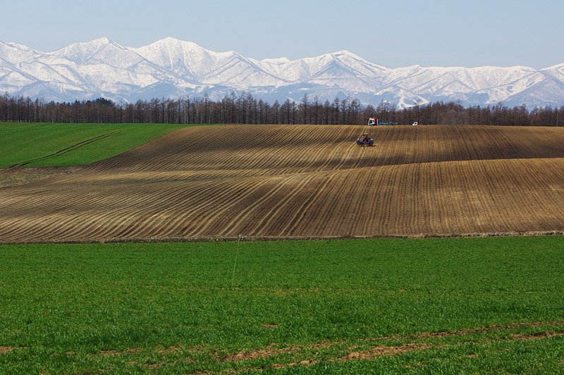 Tokachi Plain, Hokkaido